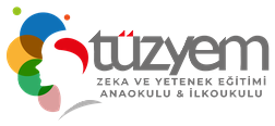 TÜZYEM